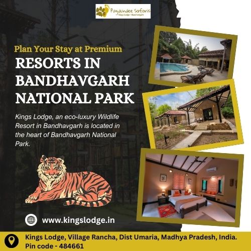 Plan Your Stay At Premium Resorts In Bandhavgarh National Park